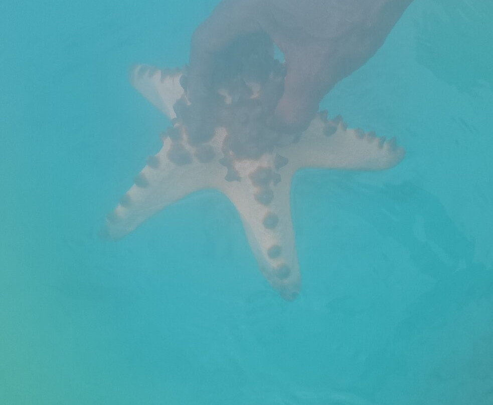 Liang Beach-安汶必去景点