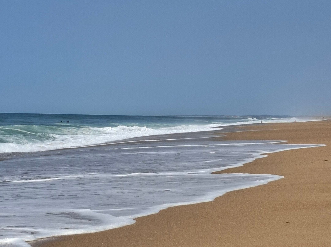 Beach of Tarnos-Tarnos必去景点