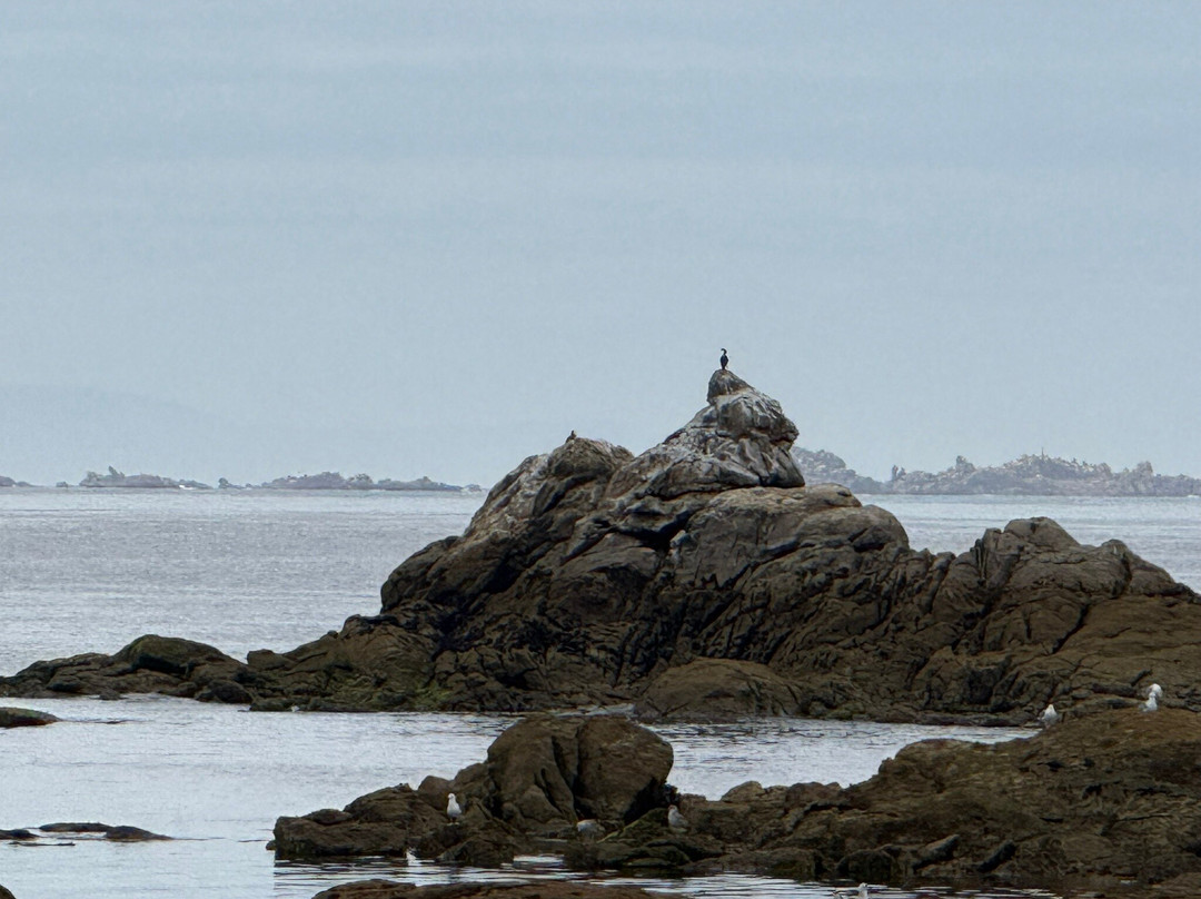 Galicia Surf Camp-Corrubedo必去景点