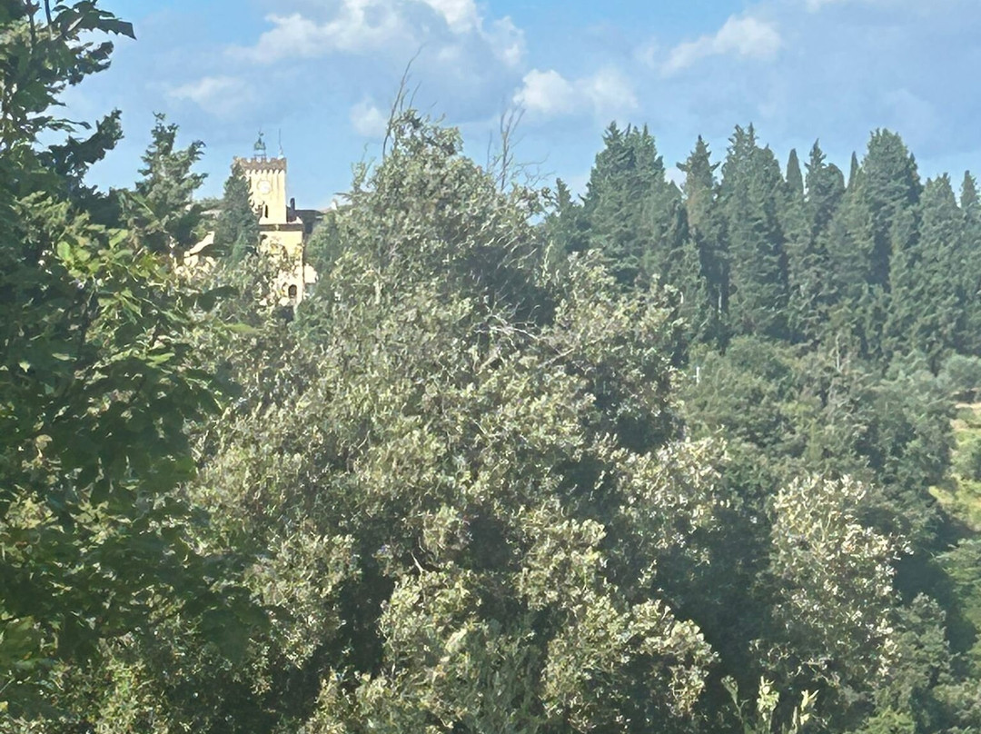 Fattoria Di Colleoli主图