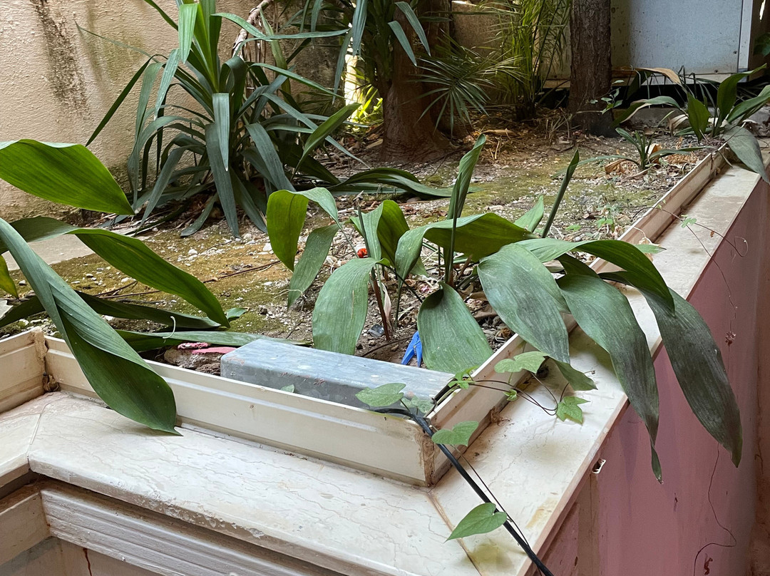 Logan's Beach Hotel主图