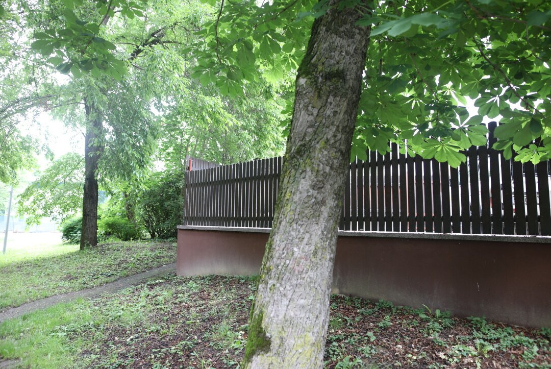 Parcul Sub Arini-锡比乌必去景点