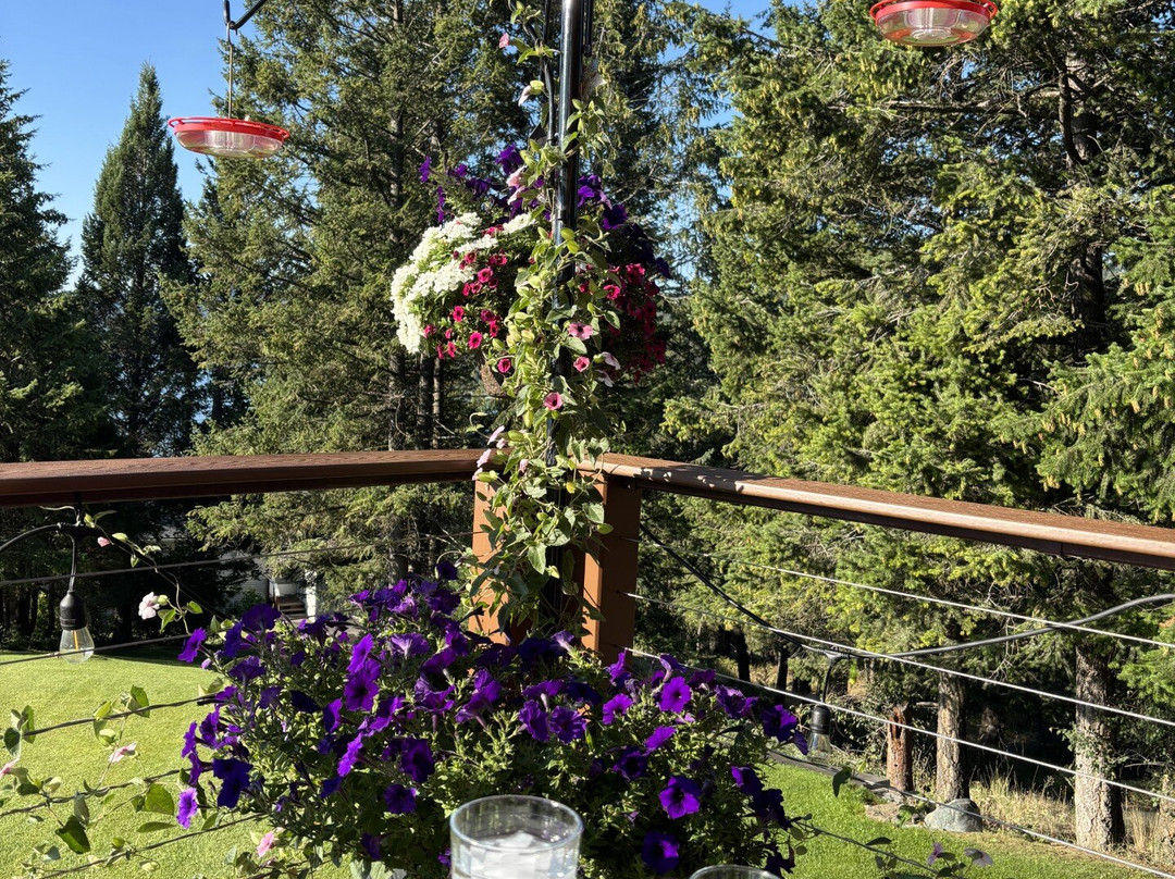 Outlook Inn Bed and Breakfast主图