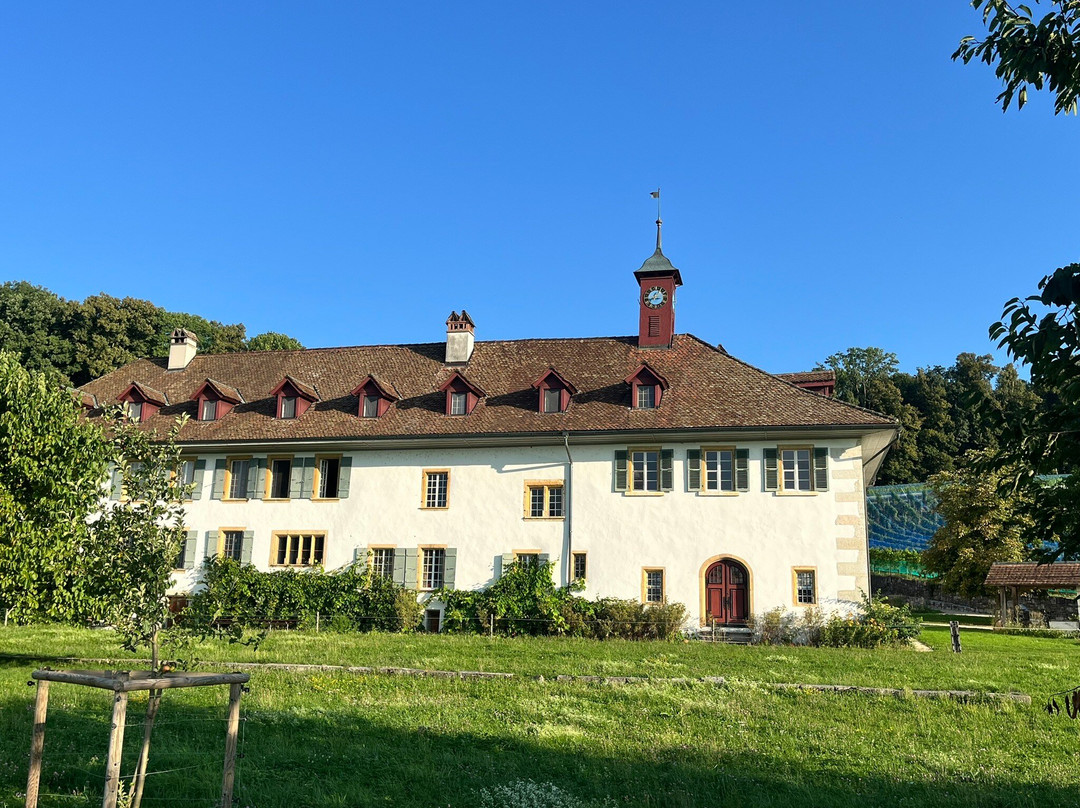 Hotel St. Petersinsel主图