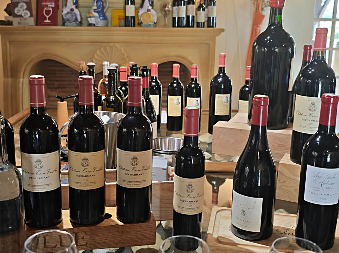 Dordogne Vineyard Tours-Mouleydier必去景点