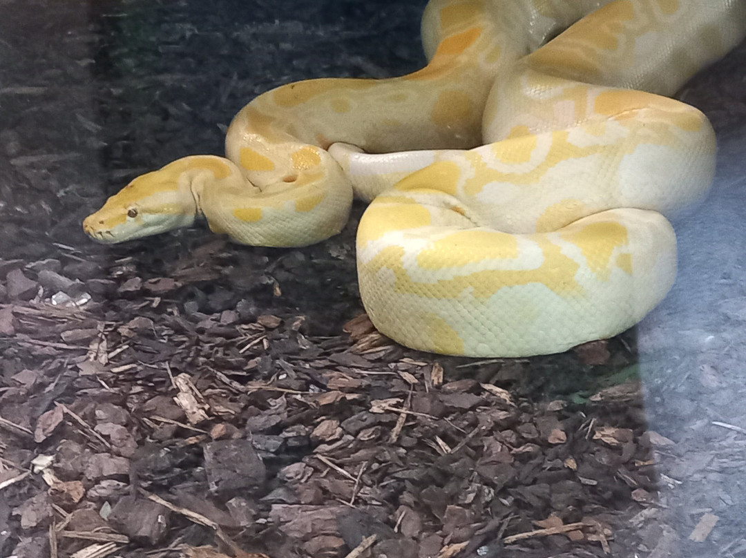 Riga Zoo-里加必去景点