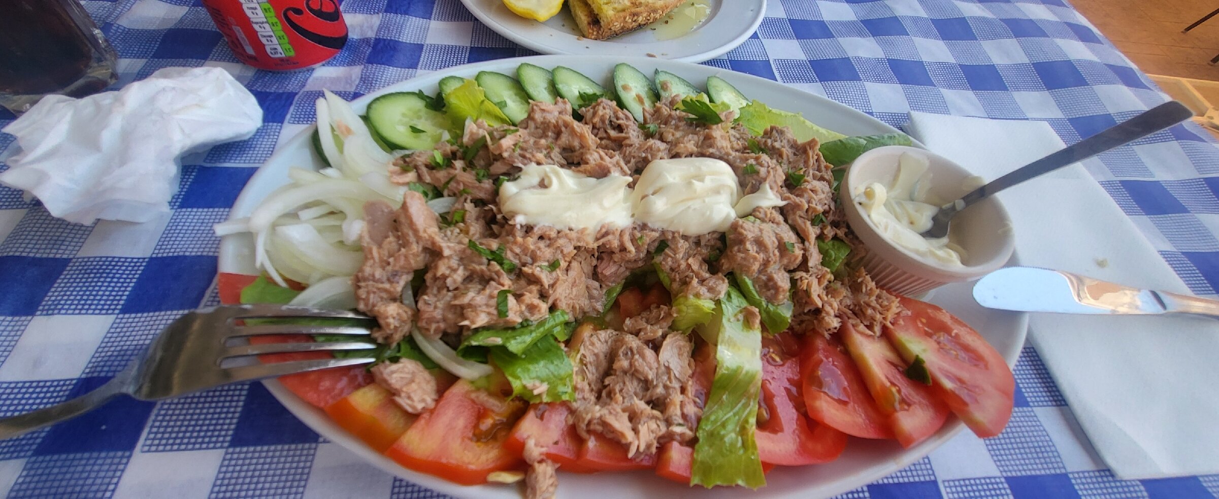 Y&p Latchi Hotel-官方