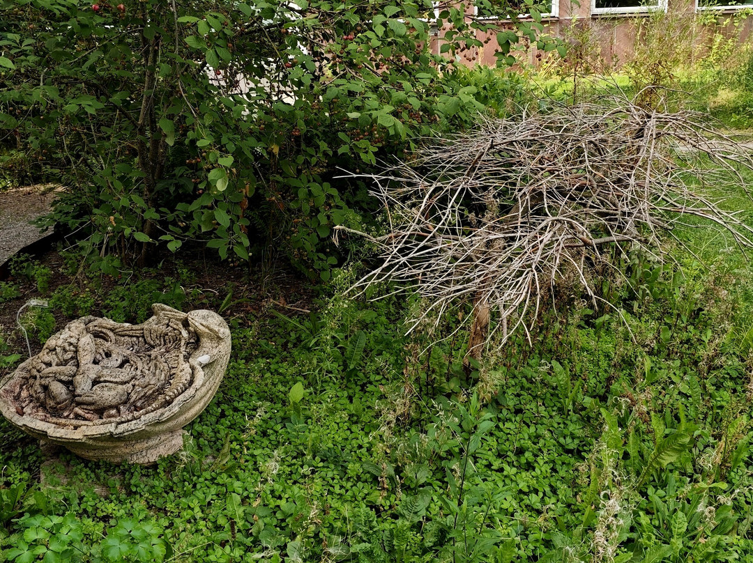 Botaniska Trädgården-韦斯特罗斯必去景点