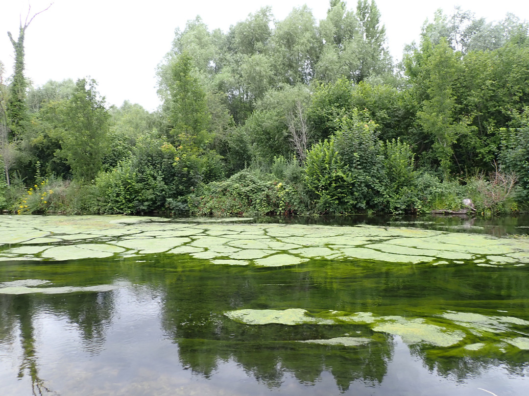Circuit "Le long des canaux"-尚蒂伊必去景点