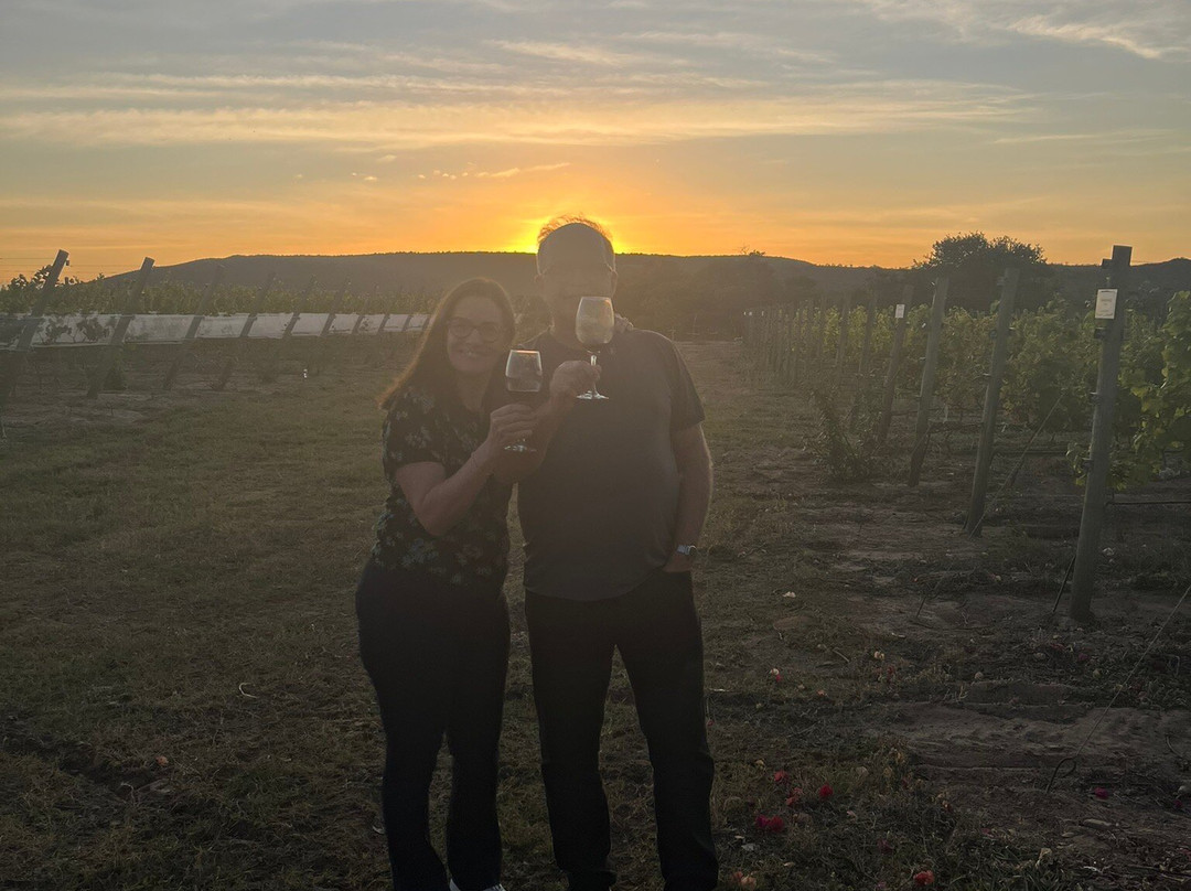 Vinícola Reconvexo-Morro Do Chapeu必去景点