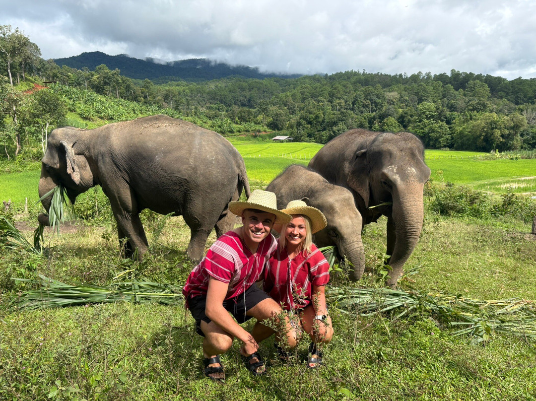 Elephant Pride Sanctuary-清迈必去景点