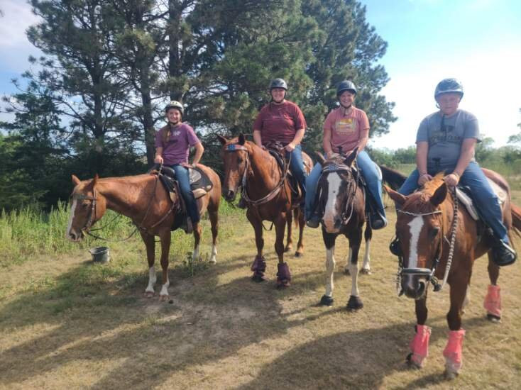 Christine's Horseback Riding-卡尼必去景点