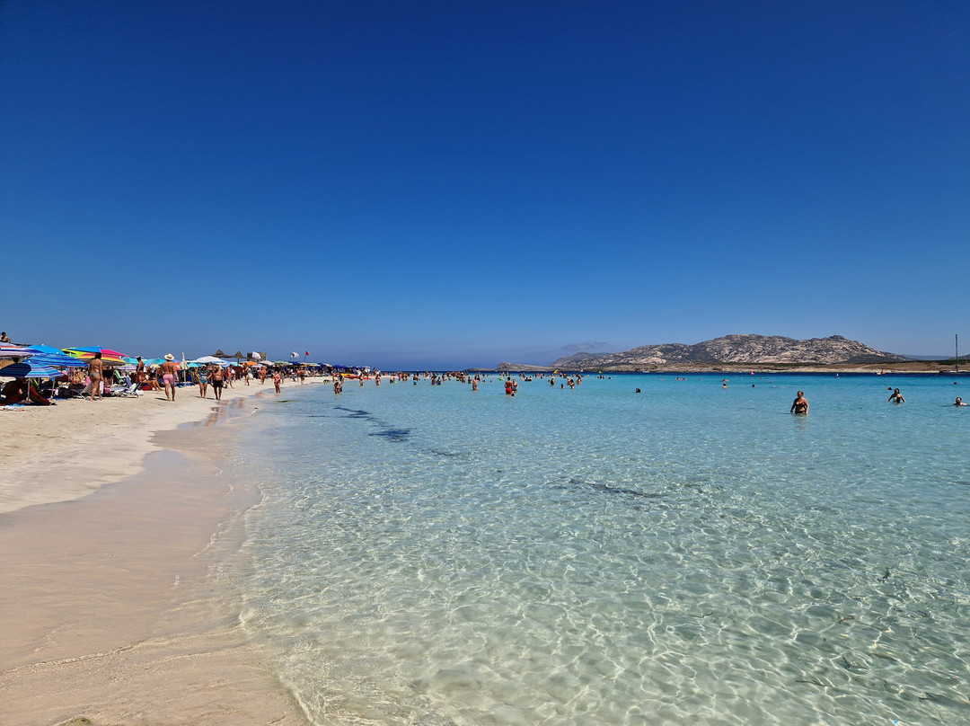 Cala Rosa Club Hotel主图