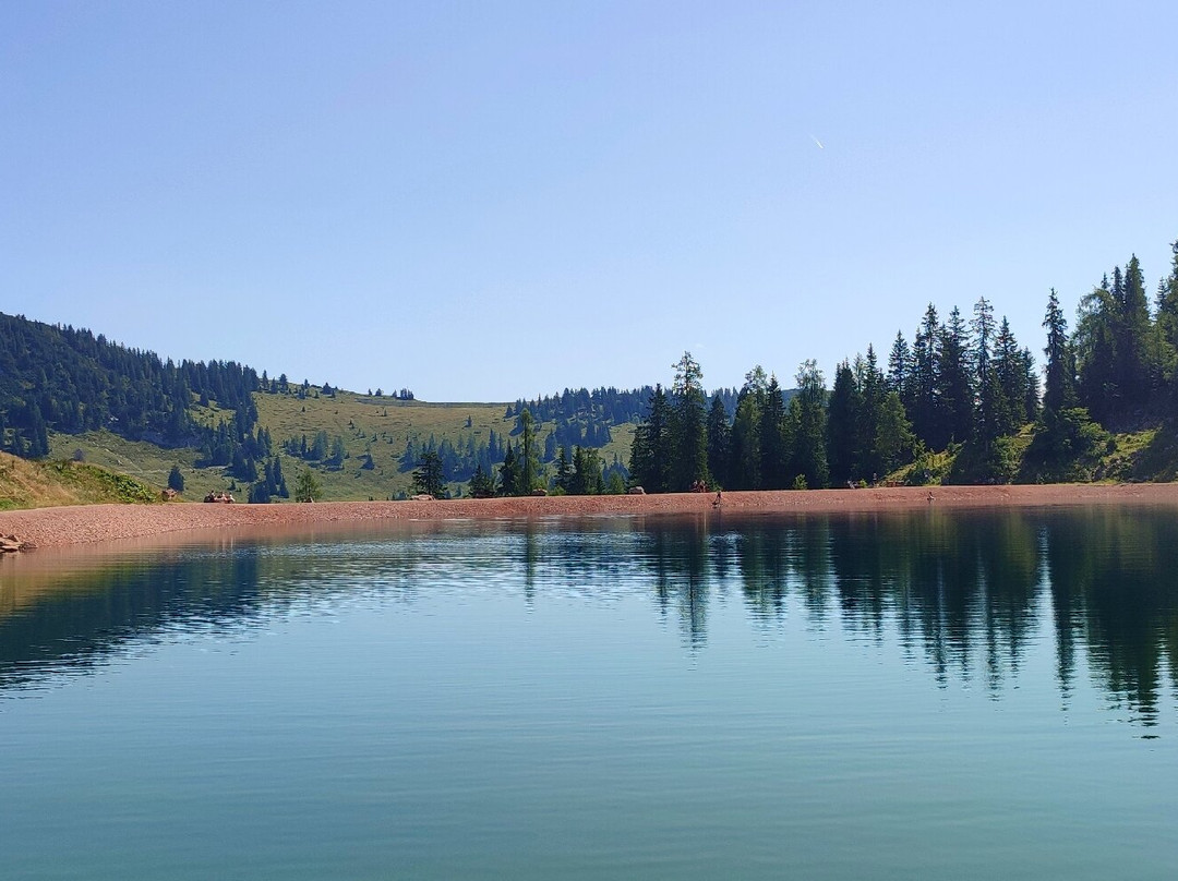 Pechtlgut Apartments主图