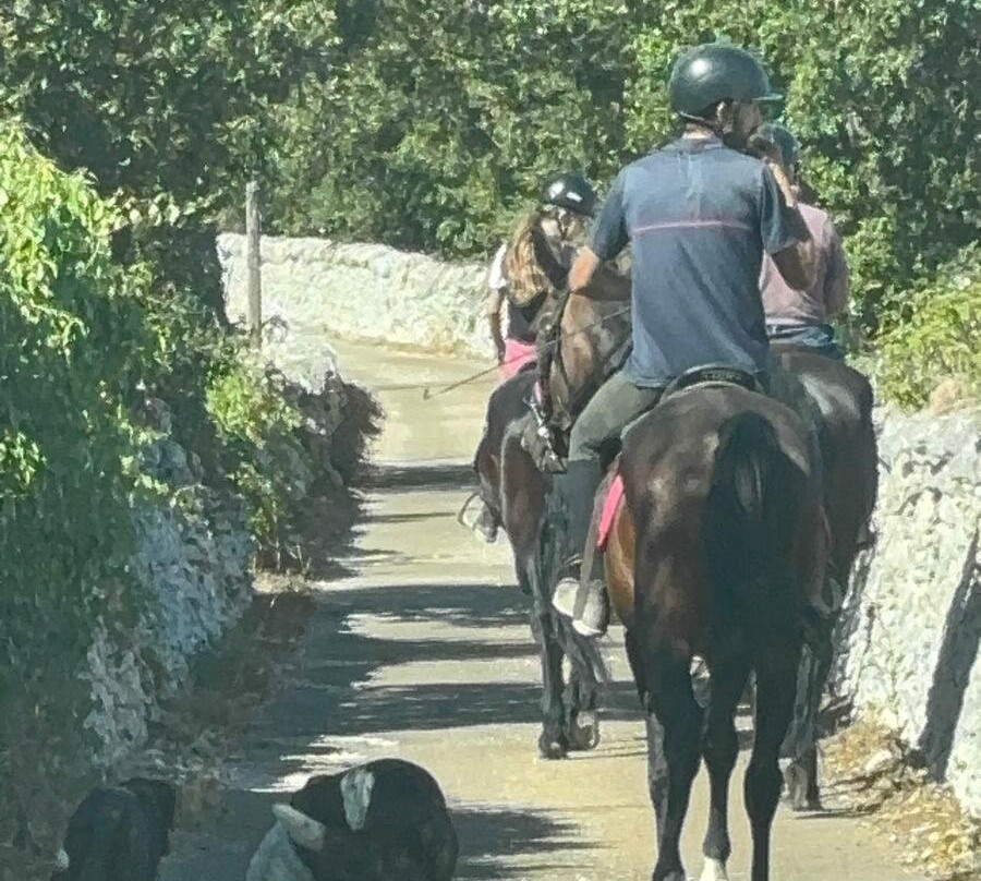 Majestic Horse Club Ride&dine-马丁纳弗兰卡必去景点