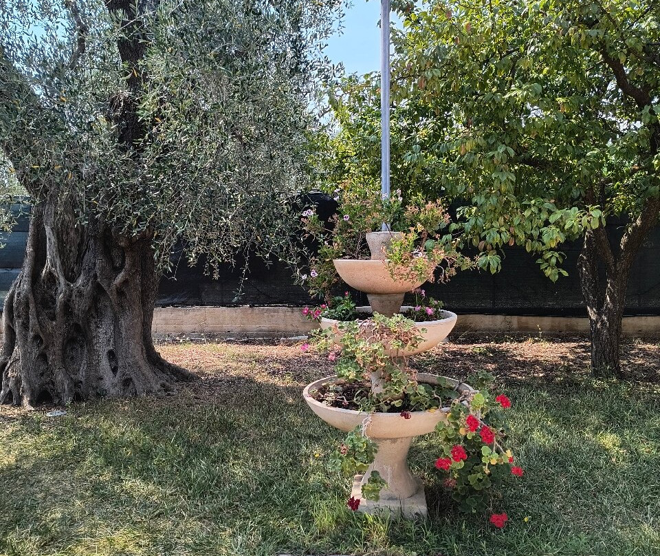 B&B Borgo Cerasa主图