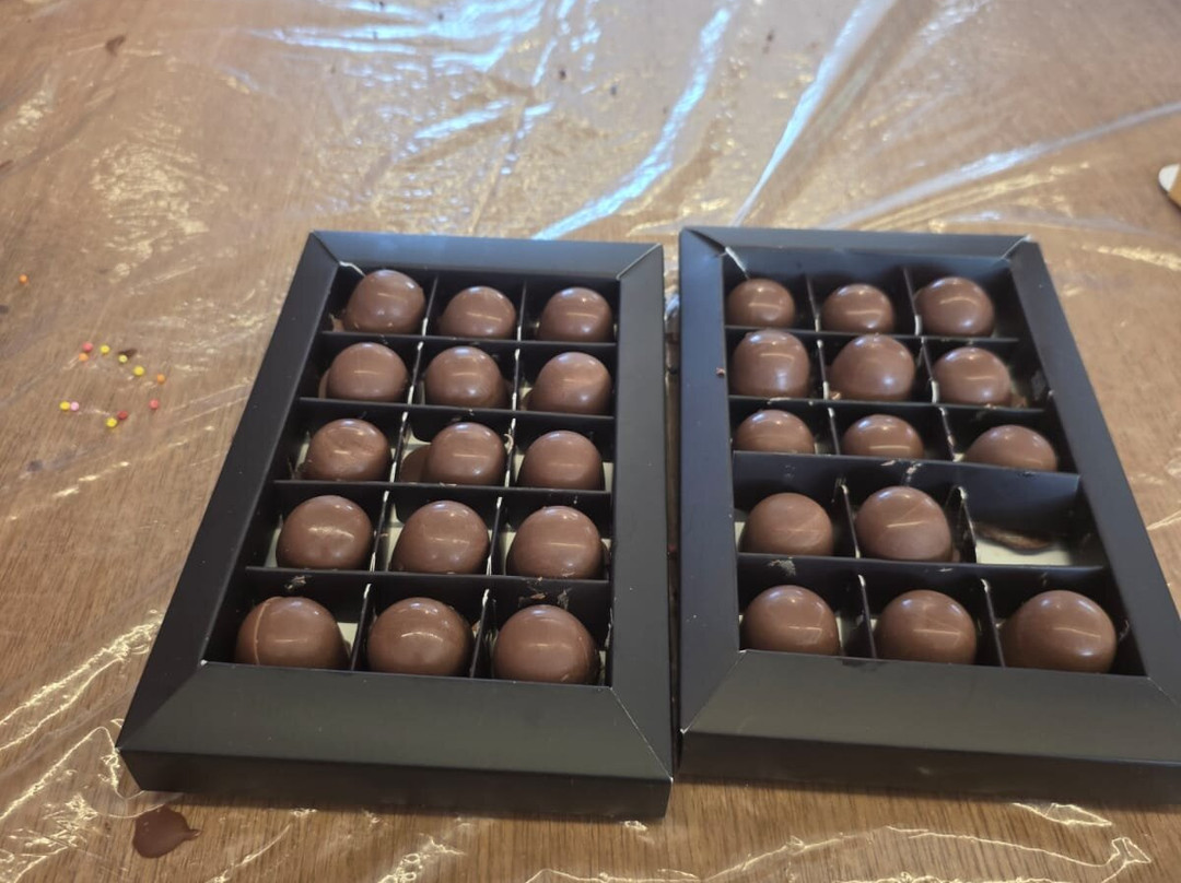 The Cocoa Forest-耶路撒冷必去景点