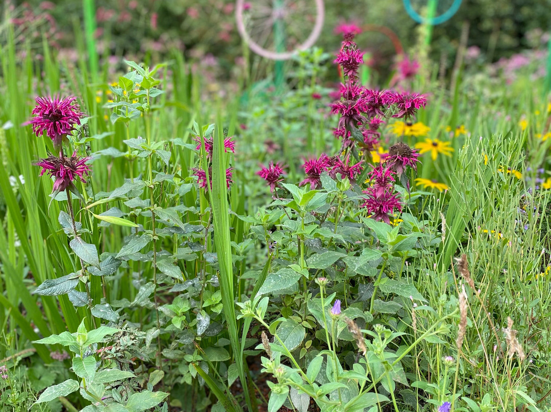 Gartenschau Tal X-Freudenstadt必去景点