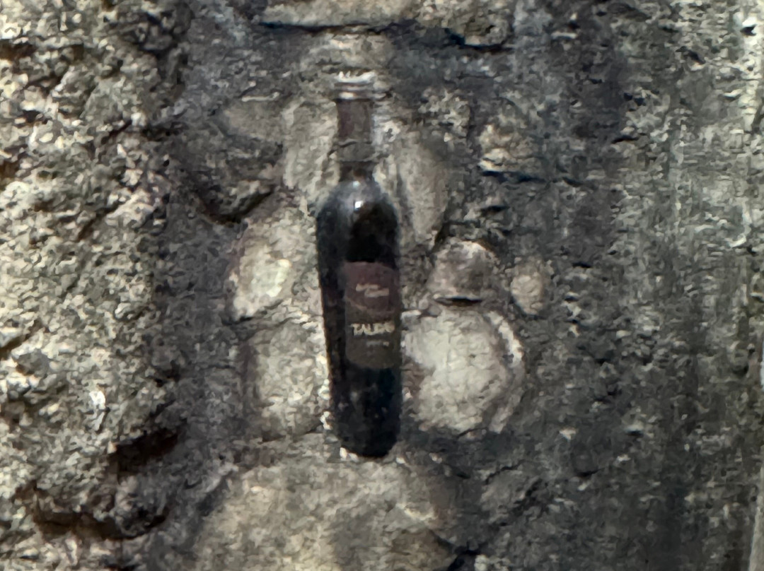 Antico Castello Winery-San Mango sul Calore必去景点