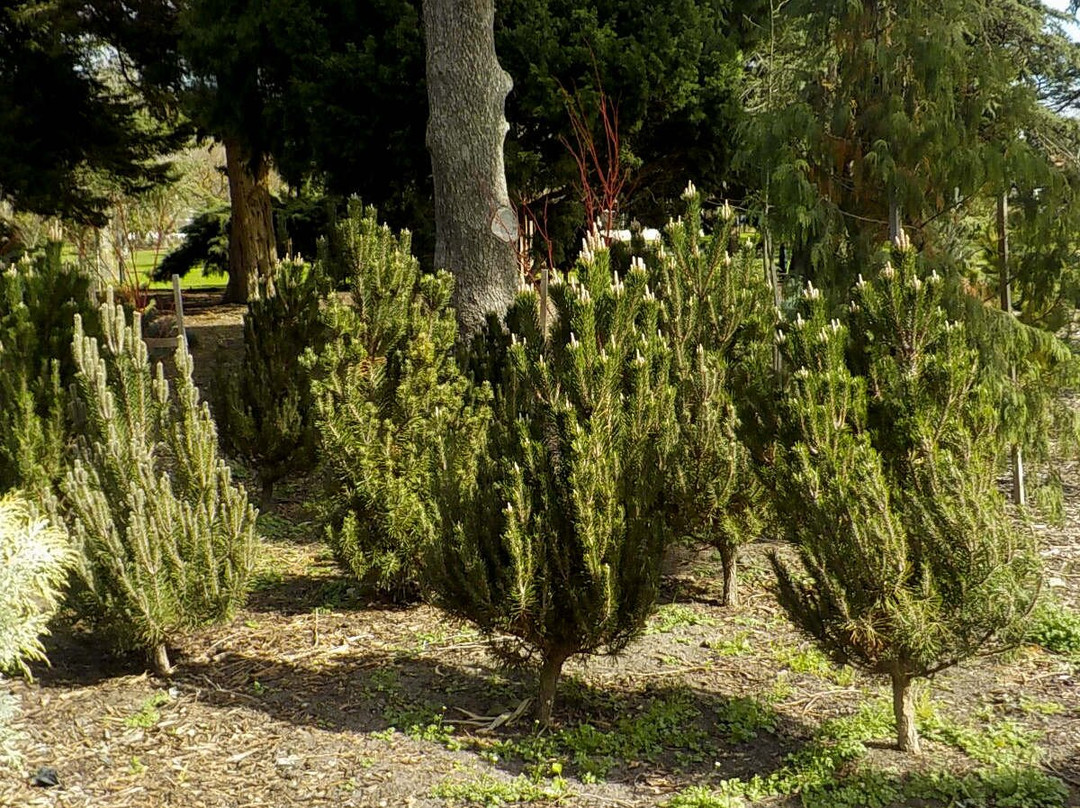 Central Park-Malvern East必去景点