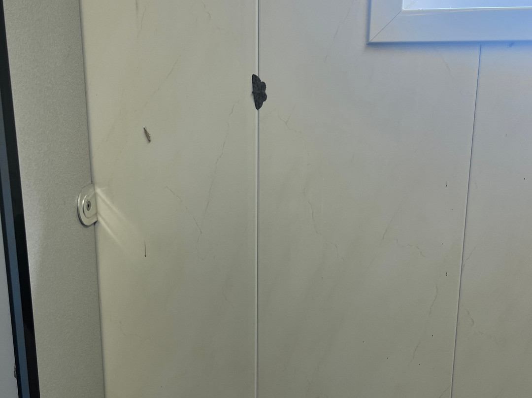 Osea Leisure Park-Maldon必去景点