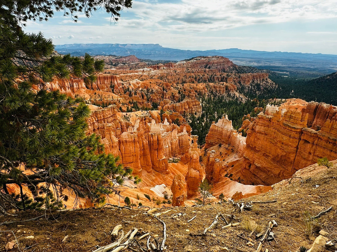 Bryce Amphitheatre-布莱斯峡谷国家公园必去景点