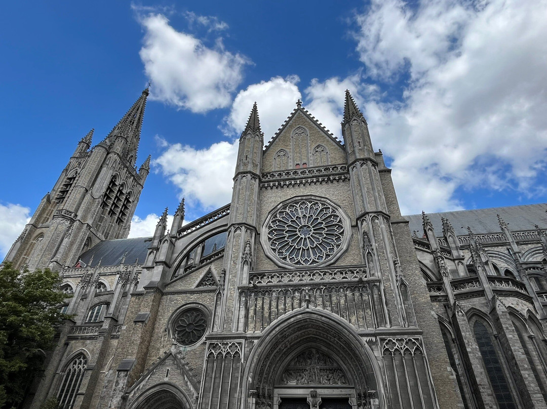 Saint Martin's Cathedral-伊普尔必去景点