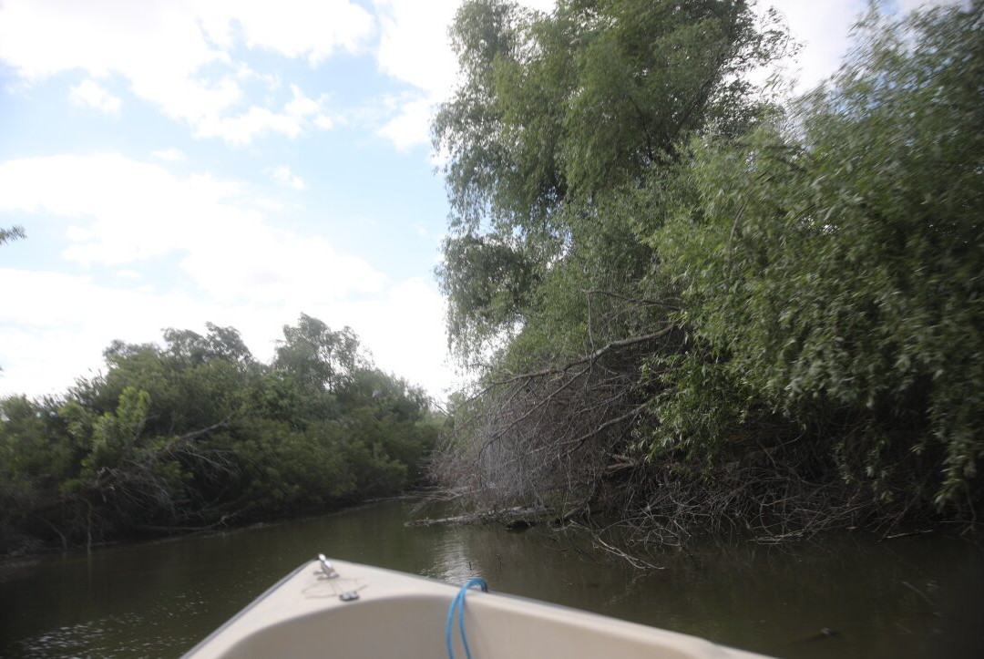 Caraorman Forest-Crisan必去景点