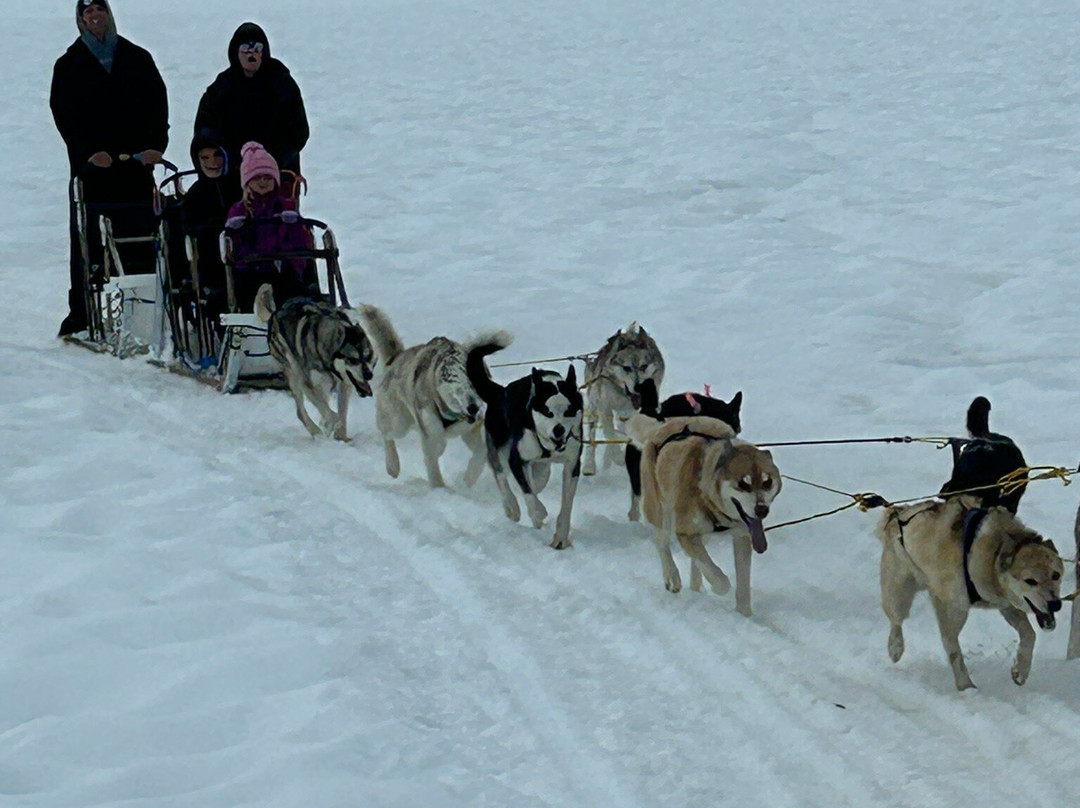海岸直升机之旅-朱诺必去景点