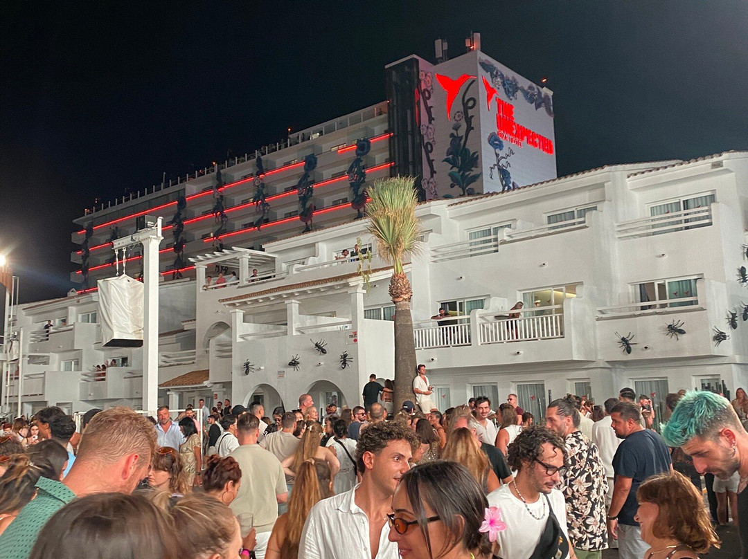Ushuaïa Ibiza-博萨海滩必去景点