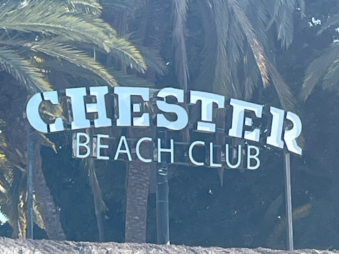 Chester Beach Club-莫干山必去景点