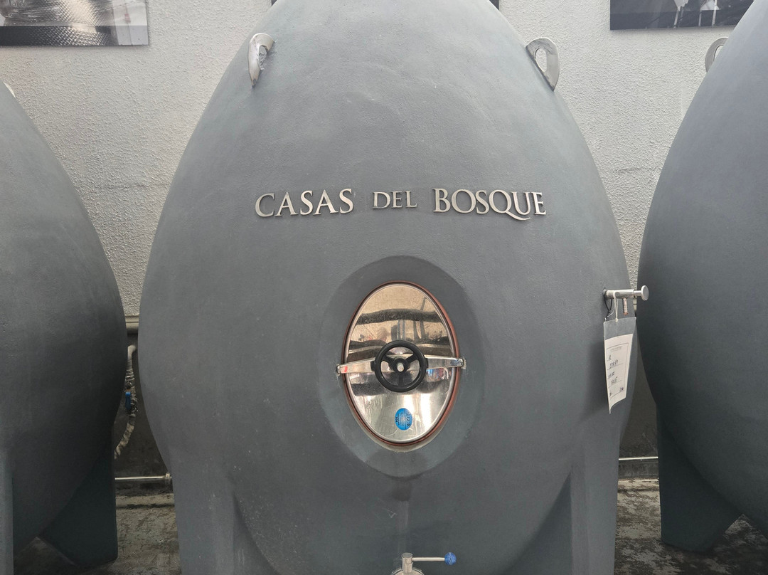 Viña Casas del Bosque-卡萨布兰卡必去景点