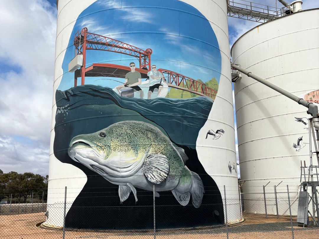 Paringa Silo Art-Paringa必去景点