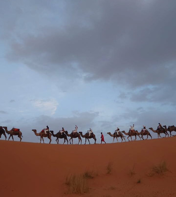 Traveling Sahara