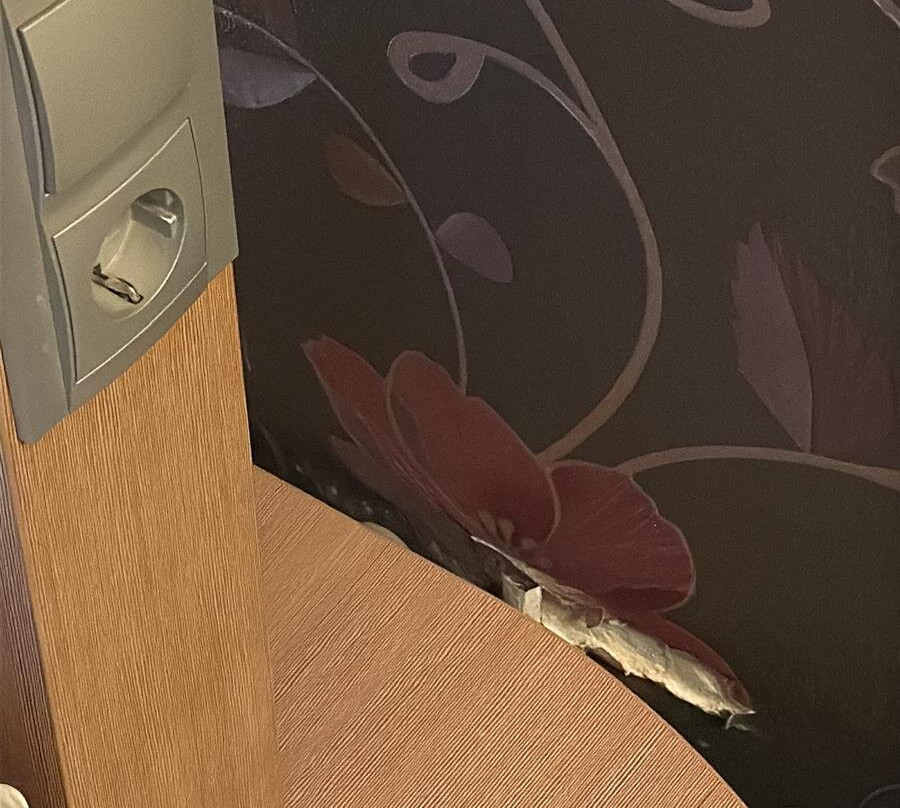 Tholes Am Allerpark Verden主图