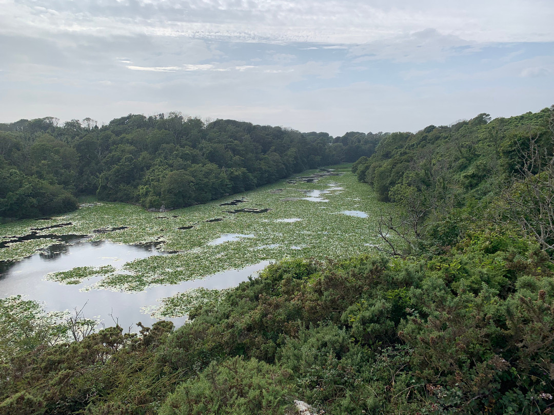 Lily Ponds-Bosherston必去景点