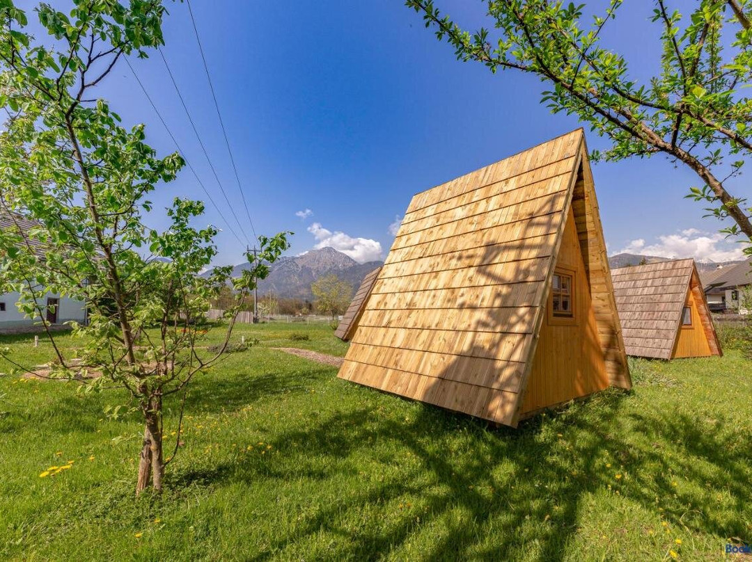 Glamping Mohorjev grunt