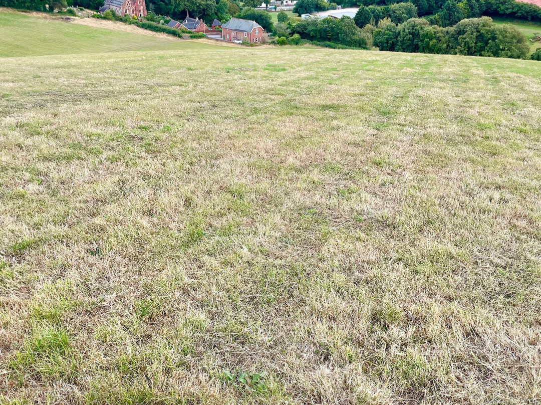 Yoga Loveliness-托基必去景点