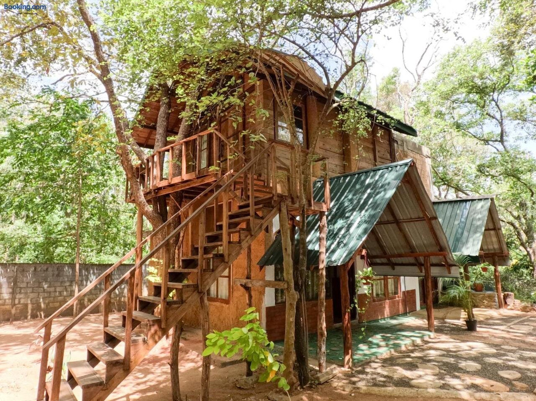 Tree Nest Sigiriya