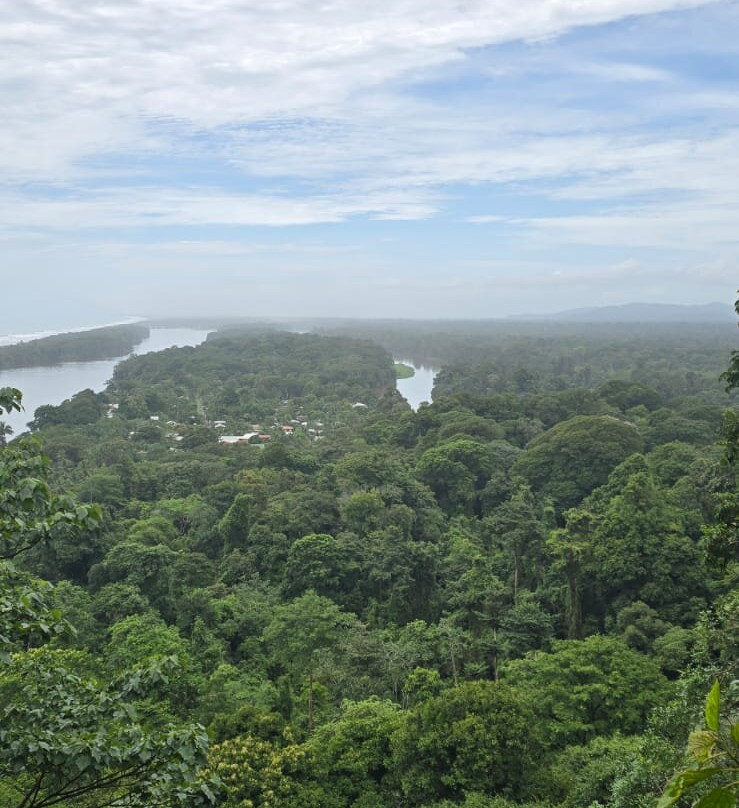 Tortuguero Natural Tours-托图杰多必去景点