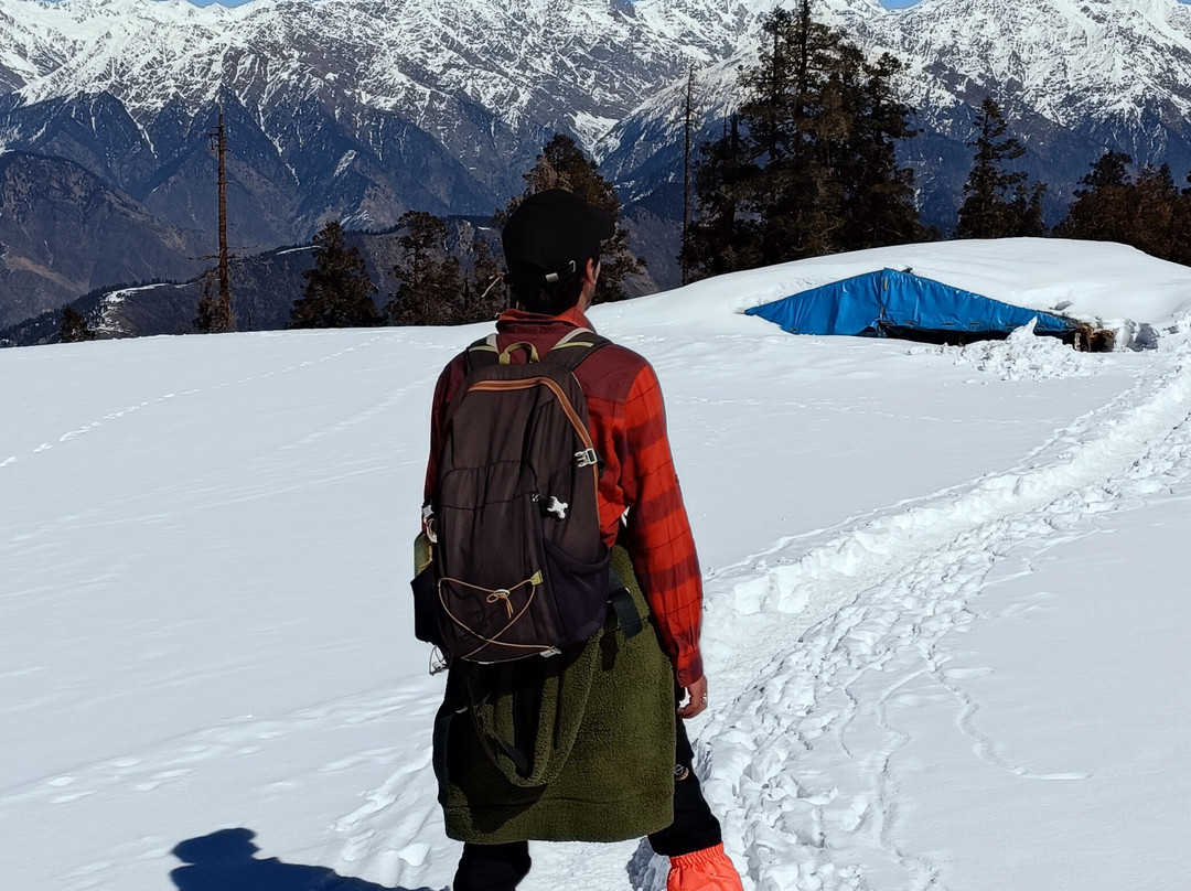 Himalayas Griffon-阿姆利则必去景点