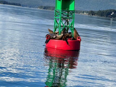 Alaska Galore Tours-朱诺必去景点