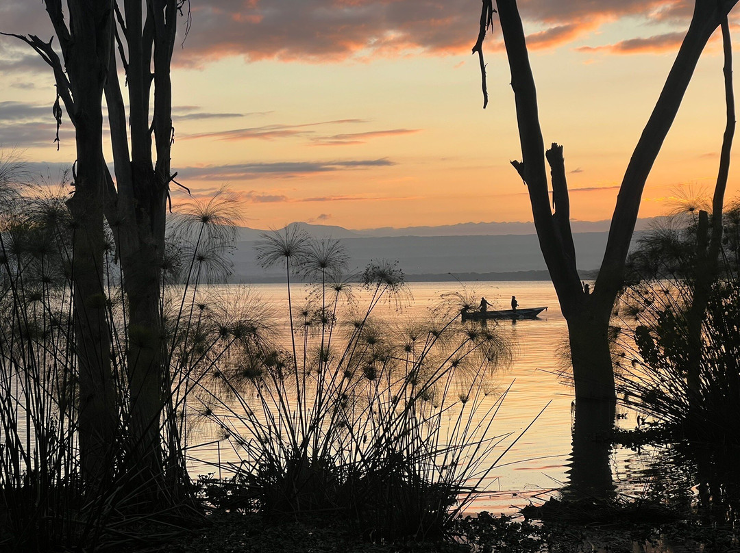 Gametrackers-Rongai必去景点