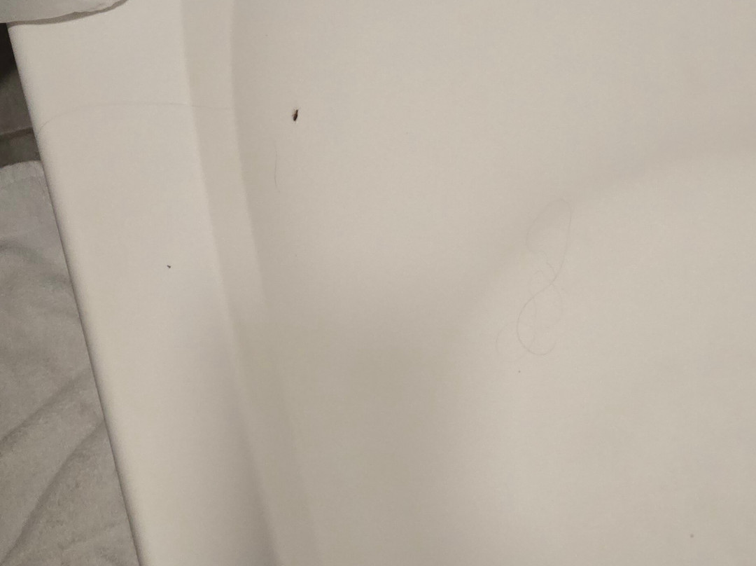 哈利森温德姆华美达酒店主图