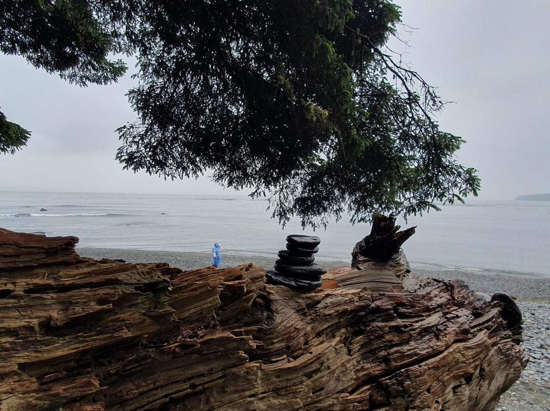 Sombrio Beach-Port Renfrew必去景点