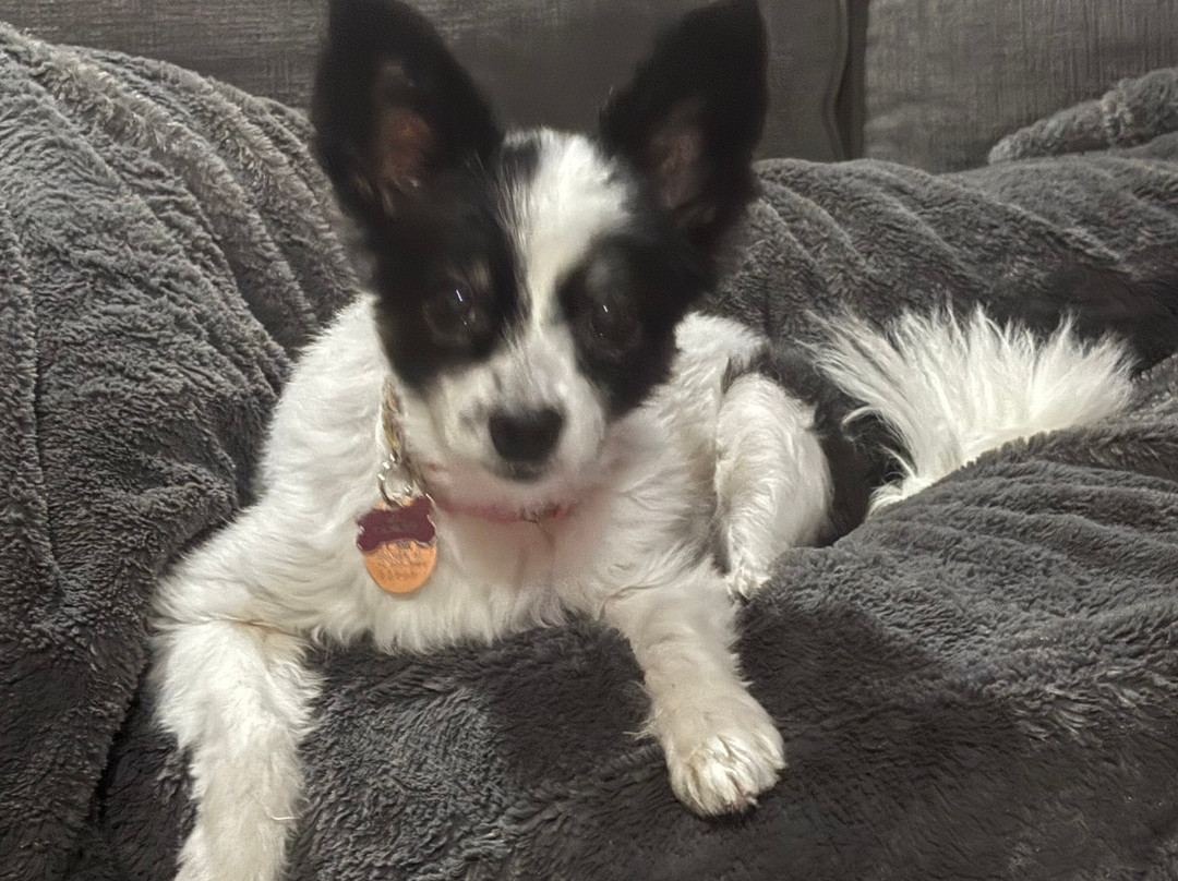 Hilton Garden Inn Fort Wayne North主图