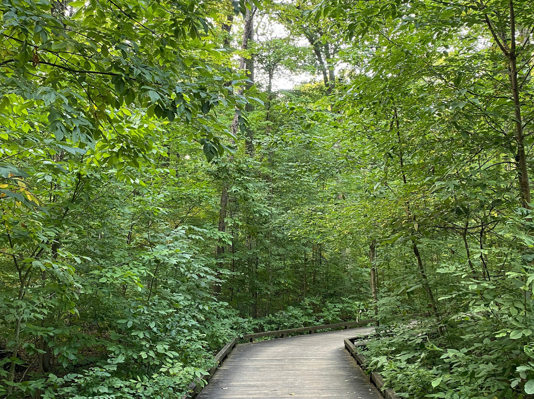 Inniswood Metro Gardens-韦斯特维尔必去景点