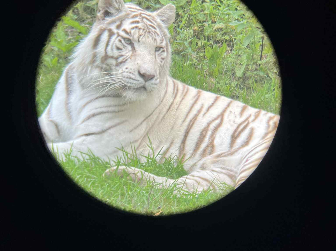 Parc Zoologique Cerza-Hermival-les-Vaux必去景点