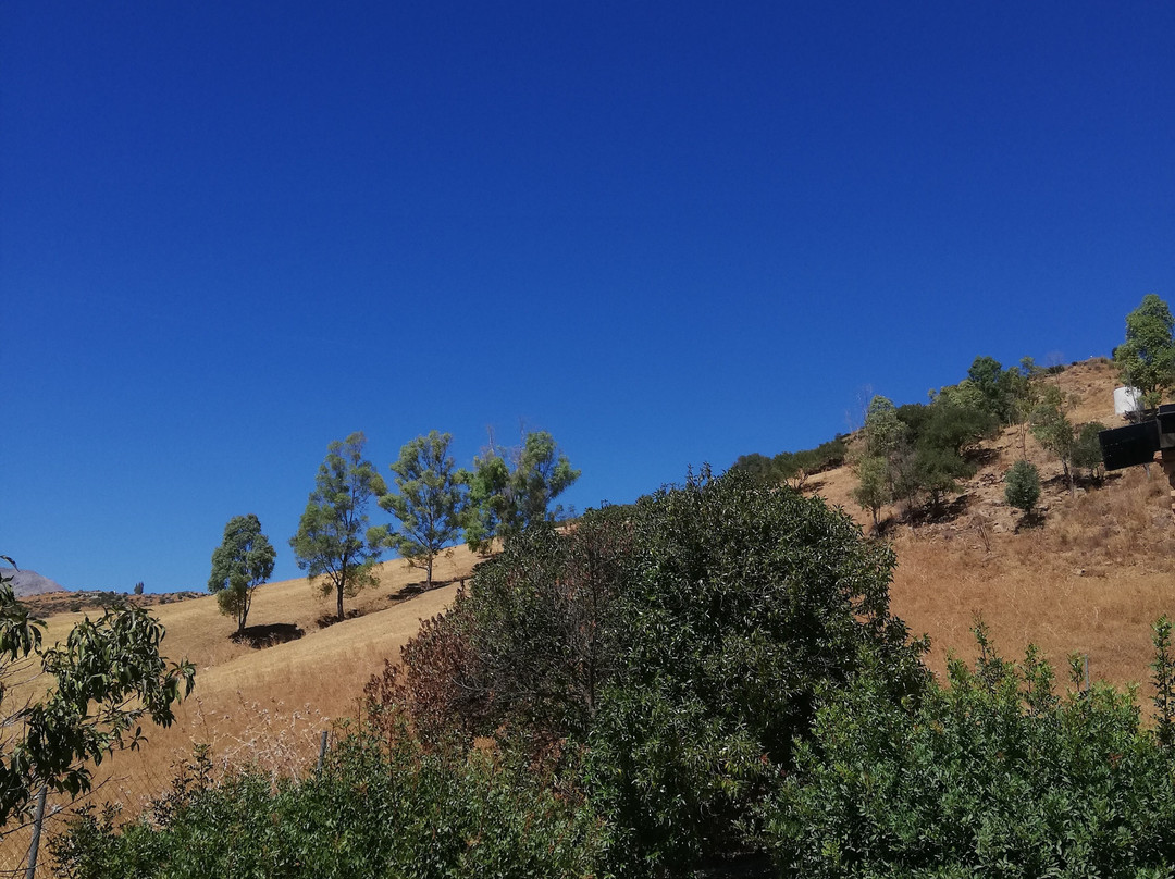 巴尔韦德庄园酒店主图