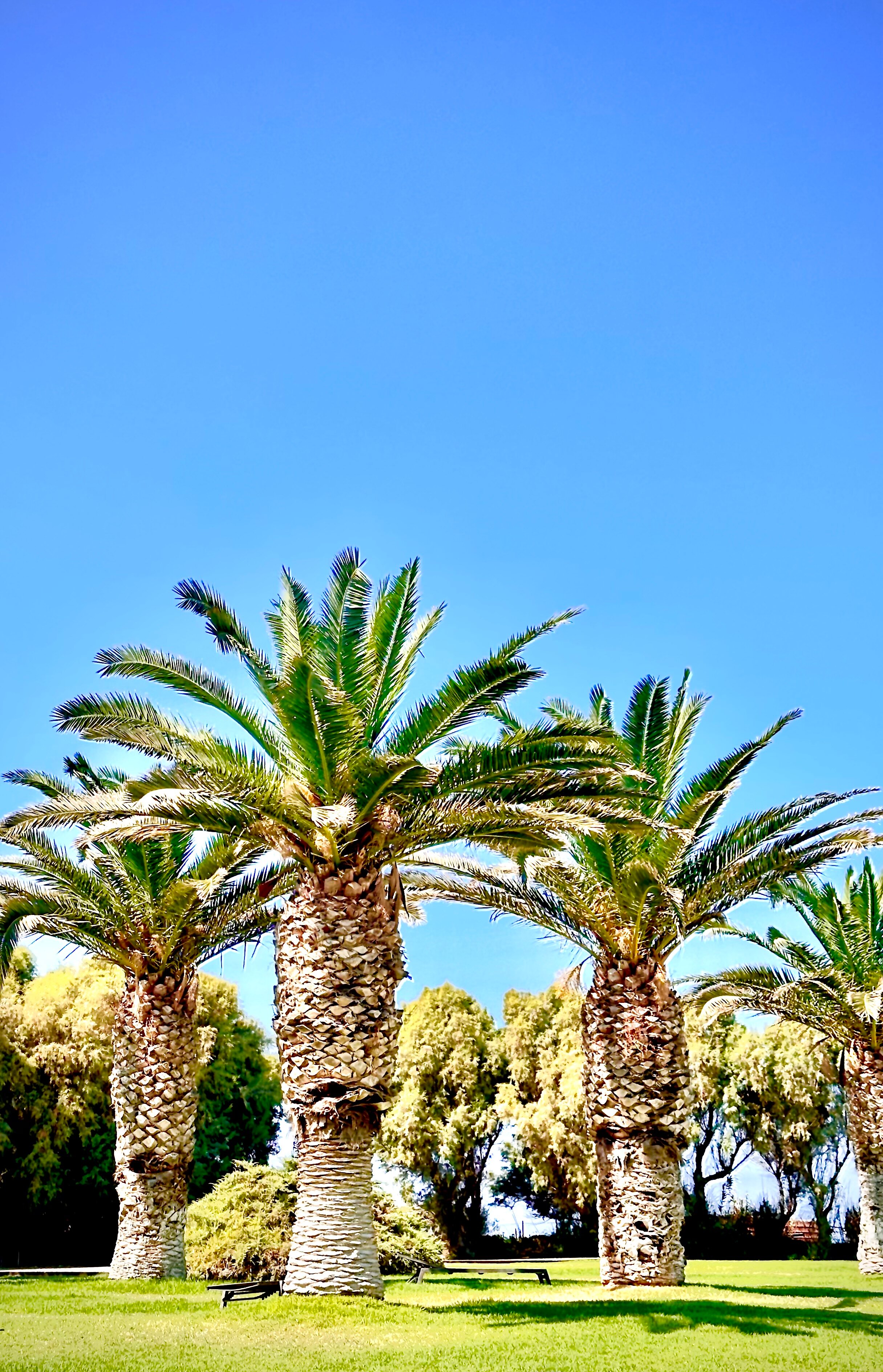 Agapi Beach Resort-浴室